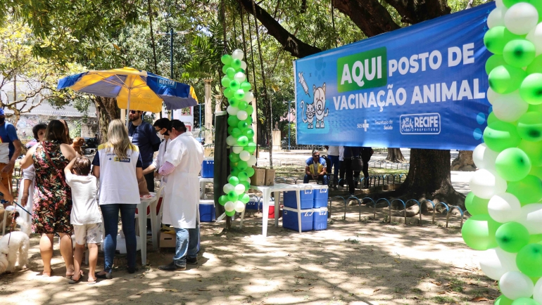 Recife e Olinda promovem vacinação antirrábica para cães e gatos neste  sábado (11) - Folha Pet - Folha PE