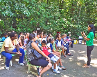 Crianças participam de atividades educativas no Jardim Botânico